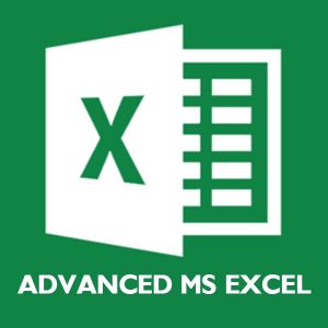MS Excel 2016 Advanced-For Professionals
